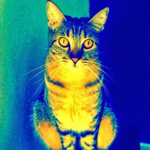 Meet your Posher, Ethan